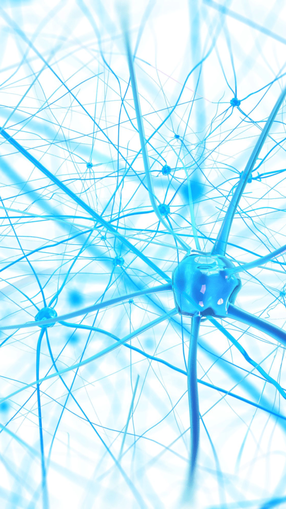 neuronas TMS Estimulación Magnética Transcraneal